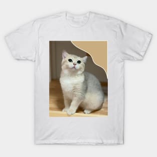 the little cute cats T-Shirt